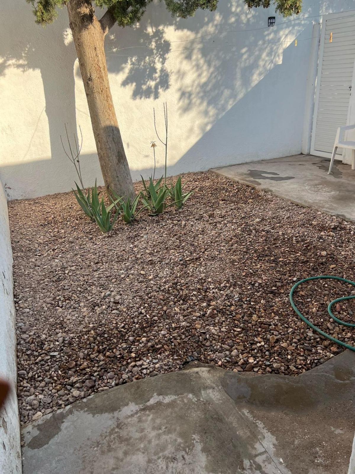 Departamento privado con cochera y WIFI Chihuahua Exterior foto